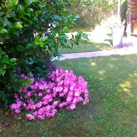 Saint-Pierre-du-Mont  Le Clos Des Palombes Wifi Climatisation מראה חיצוני תמונה