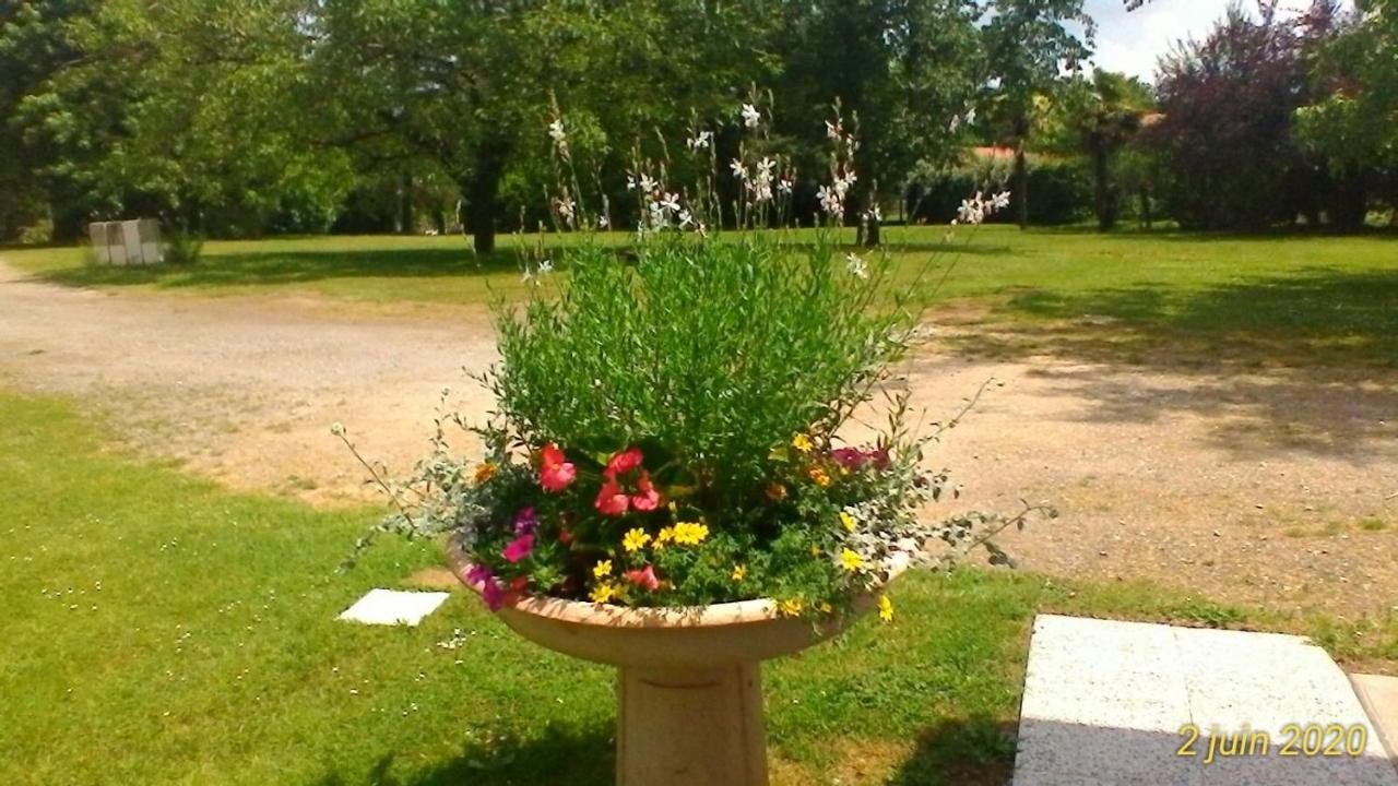 Saint-Pierre-du-Mont  Le Clos Des Palombes Wifi Climatisation מראה חיצוני תמונה