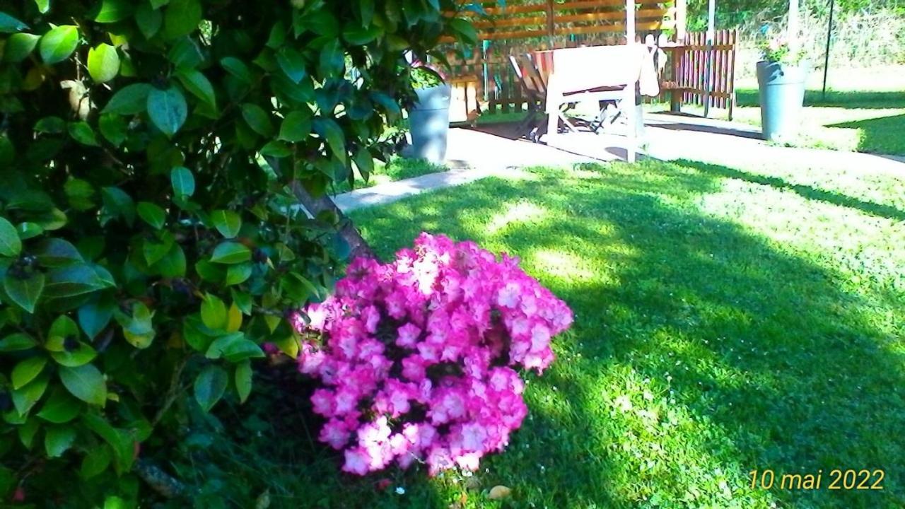 Saint-Pierre-du-Mont  Le Clos Des Palombes Wifi Climatisation מראה חיצוני תמונה