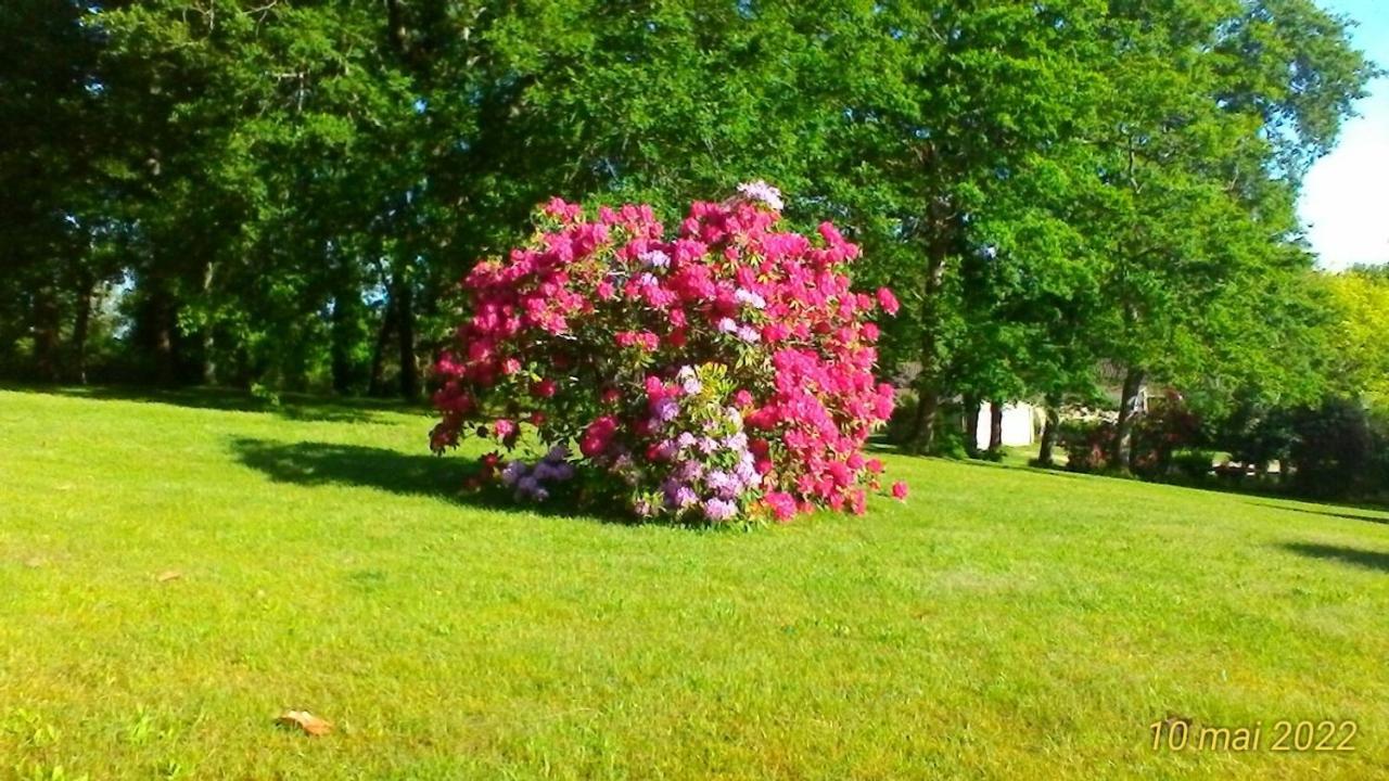 Saint-Pierre-du-Mont  Le Clos Des Palombes Wifi Climatisation מראה חיצוני תמונה