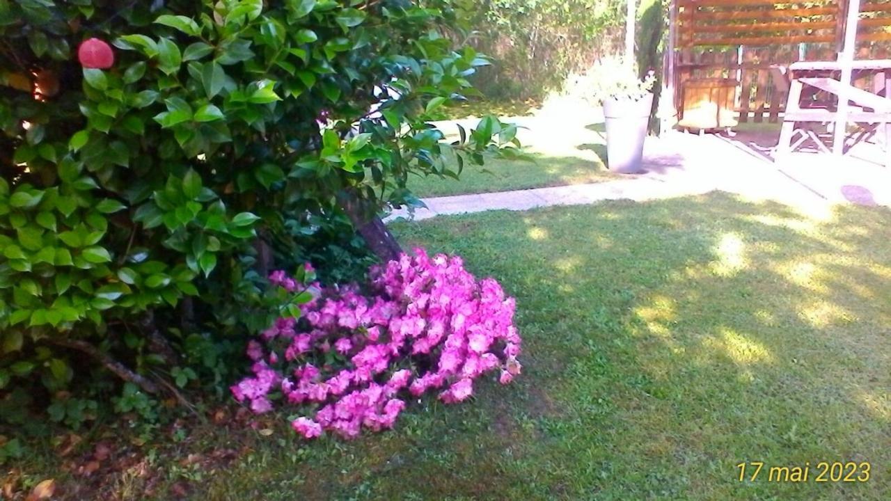 Saint-Pierre-du-Mont  Le Clos Des Palombes Wifi Climatisation מראה חיצוני תמונה