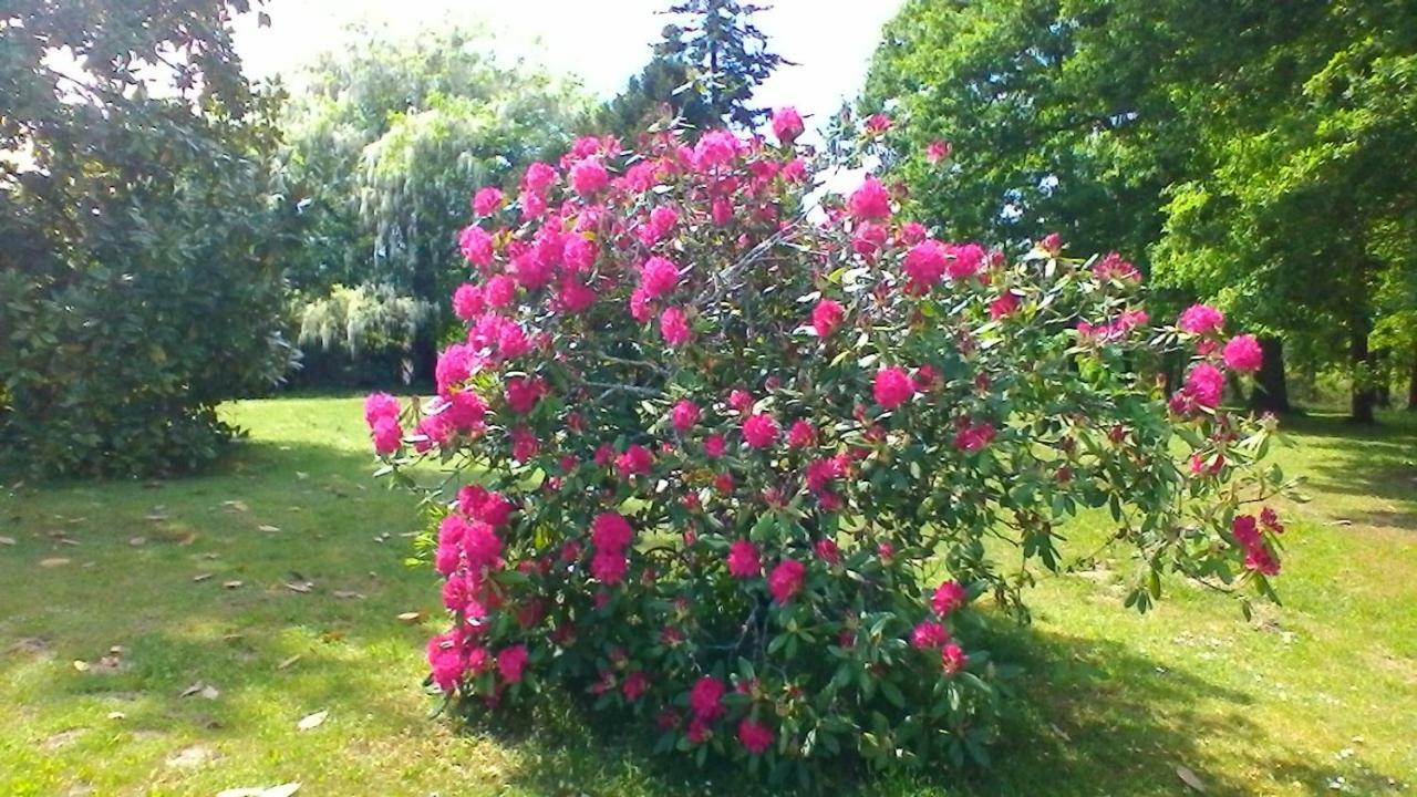 Saint-Pierre-du-Mont  Le Clos Des Palombes Wifi Climatisation מראה חיצוני תמונה