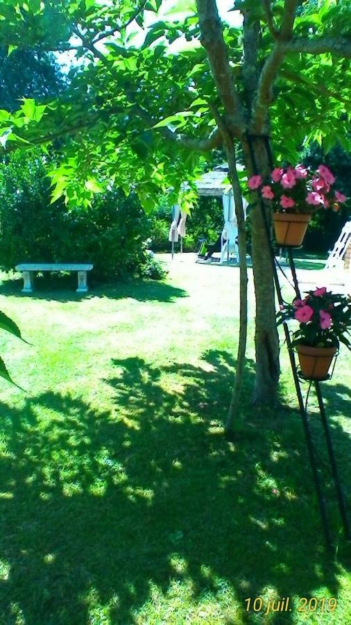 Saint-Pierre-du-Mont  Le Clos Des Palombes Wifi Climatisation מראה חיצוני תמונה