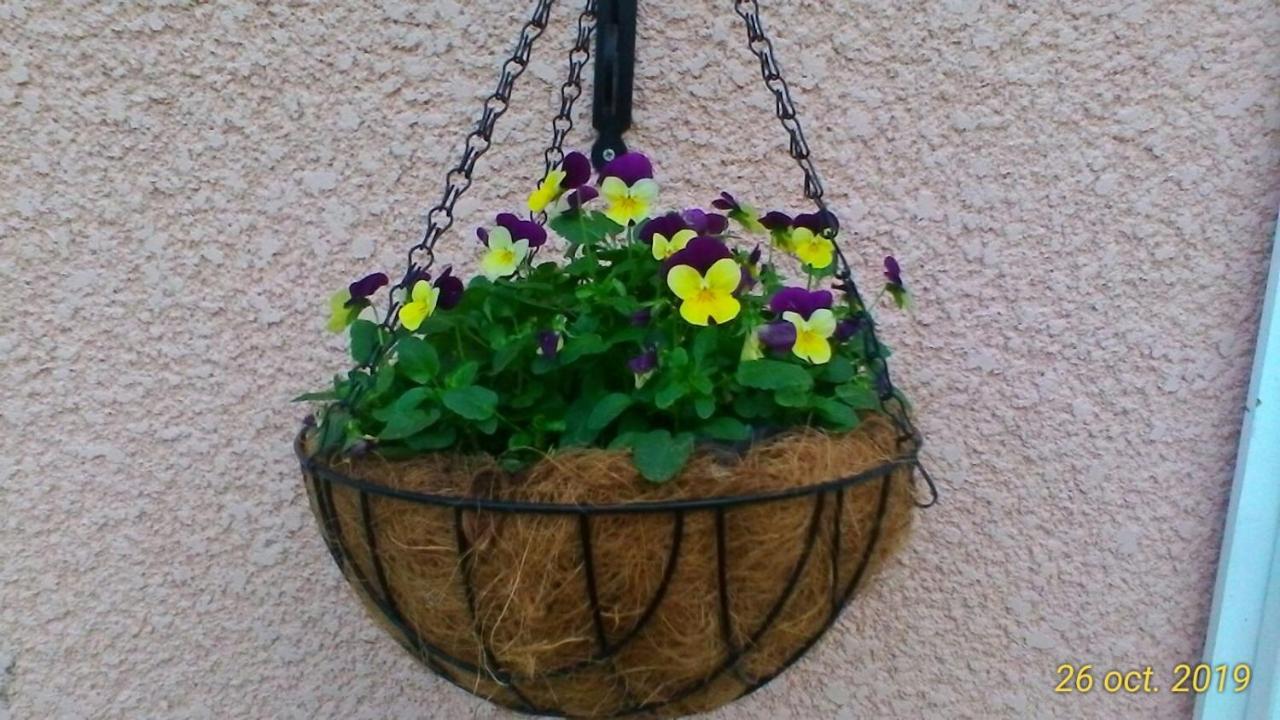 Saint-Pierre-du-Mont  Le Clos Des Palombes Wifi Climatisation מראה חיצוני תמונה