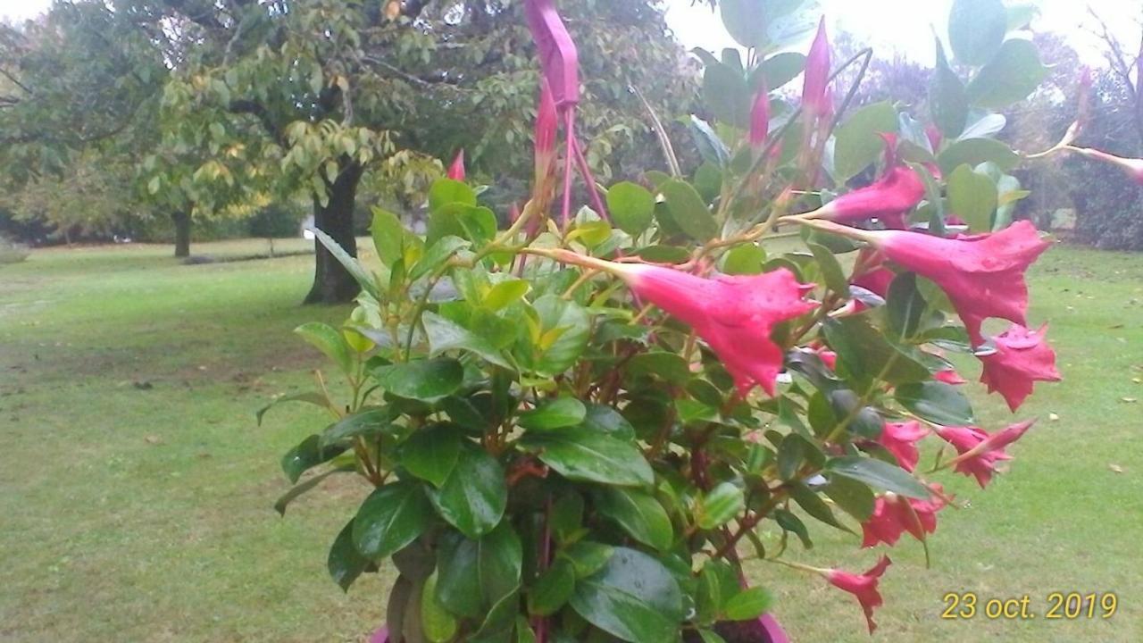 Saint-Pierre-du-Mont  Le Clos Des Palombes Wifi Climatisation מראה חיצוני תמונה